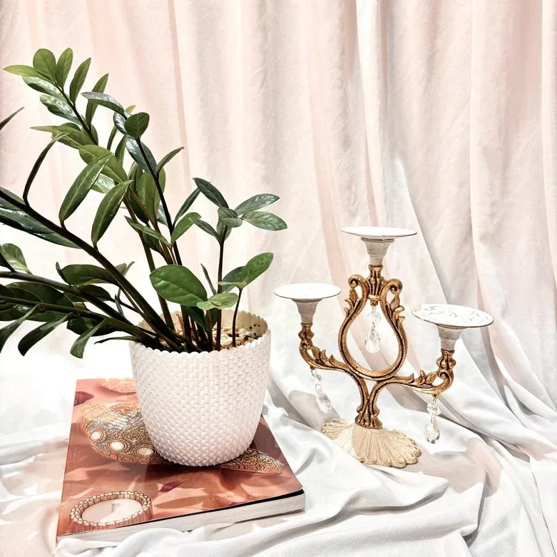 Candle flower leaf shape up & down