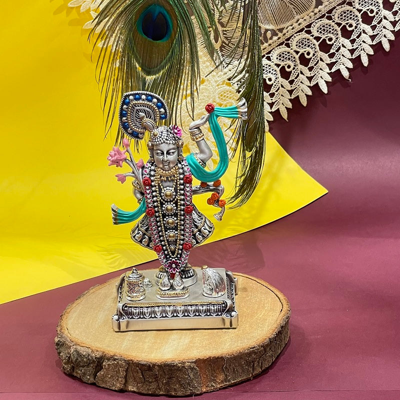 Shrinath Ji Color