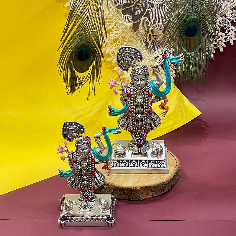 Shrinath Ji Color