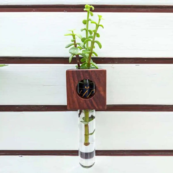 Wooden Magnetic Planter Propagation